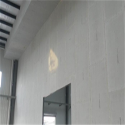 大安宁波ALC板|EPS加气板隔墙与混凝土整浇联接的实验研讨